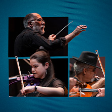 BRASIL JAZZ SINF&Ocirc;NICA