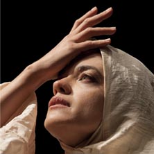 A L&iacute;ngua em Peda&ccedil;os