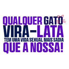 QUALQUER GATO VIRA LATA