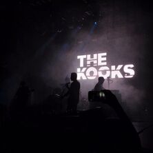 THE KOOKS